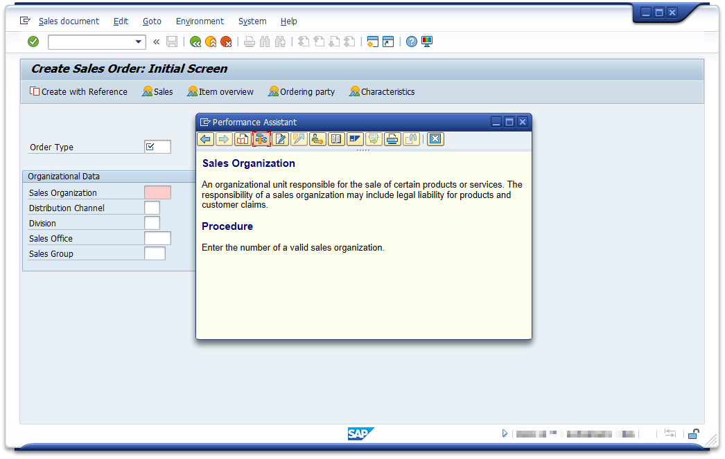 SAP Parameter Information in Transaction VA01