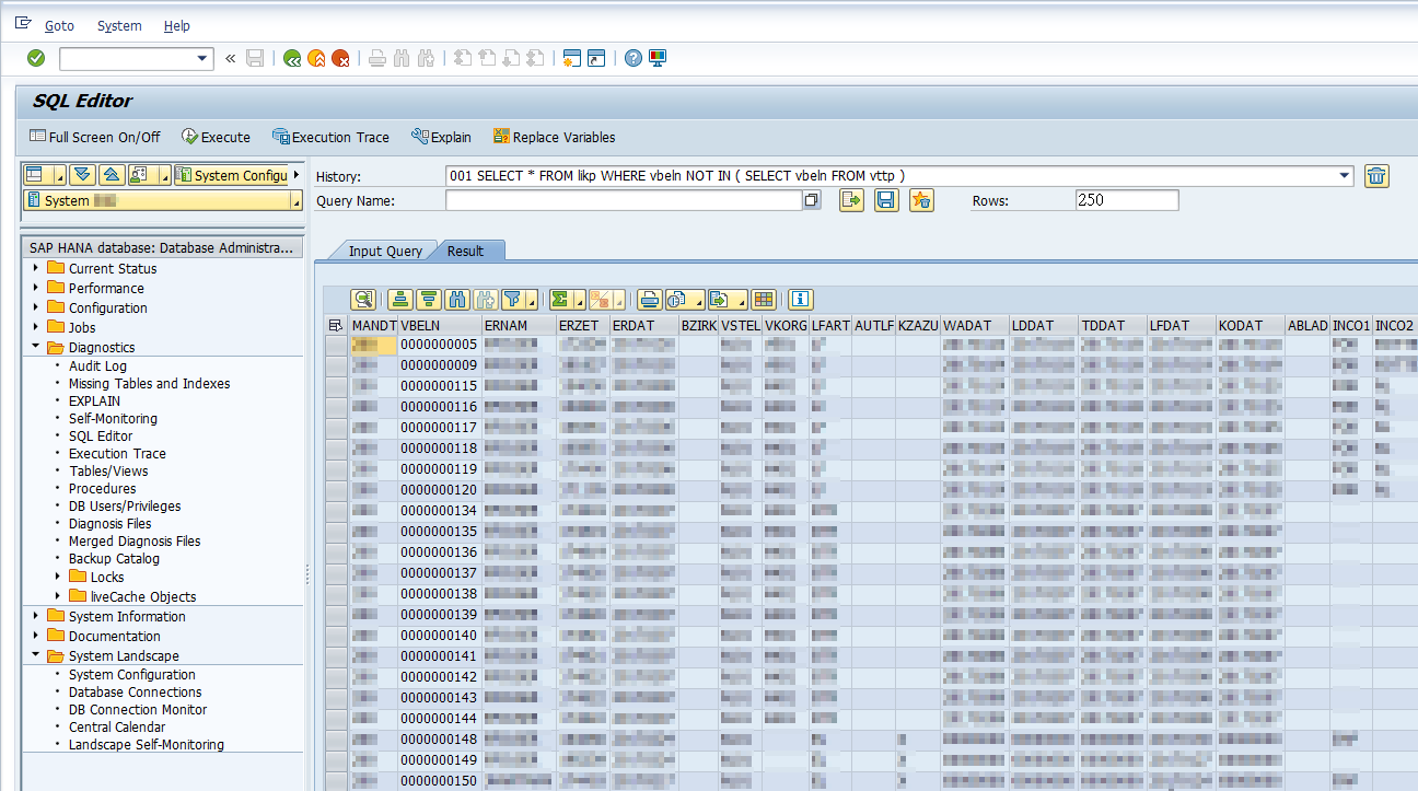 SAP DBA Cockpit SQL Query Result