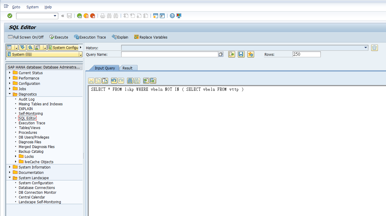 How to execute a SQL query directly in SAP