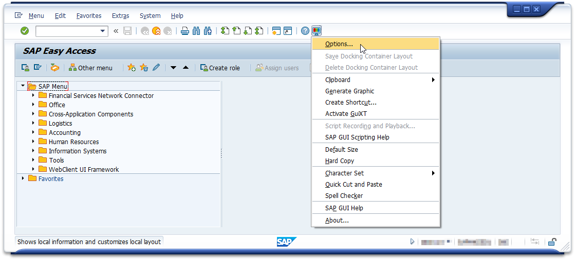 SAP GUI Open Options